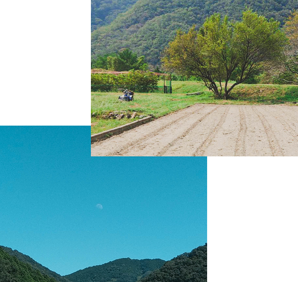 誰もが安心して美味しく食べれる野菜!