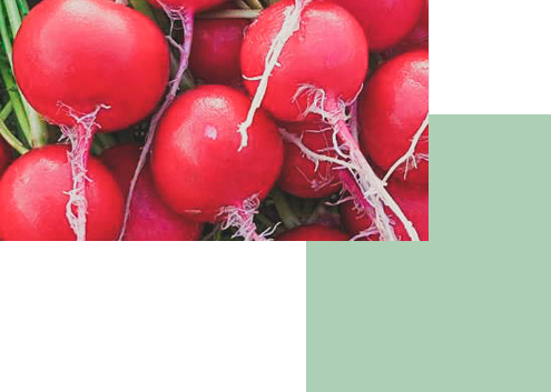 レストランへの提供!