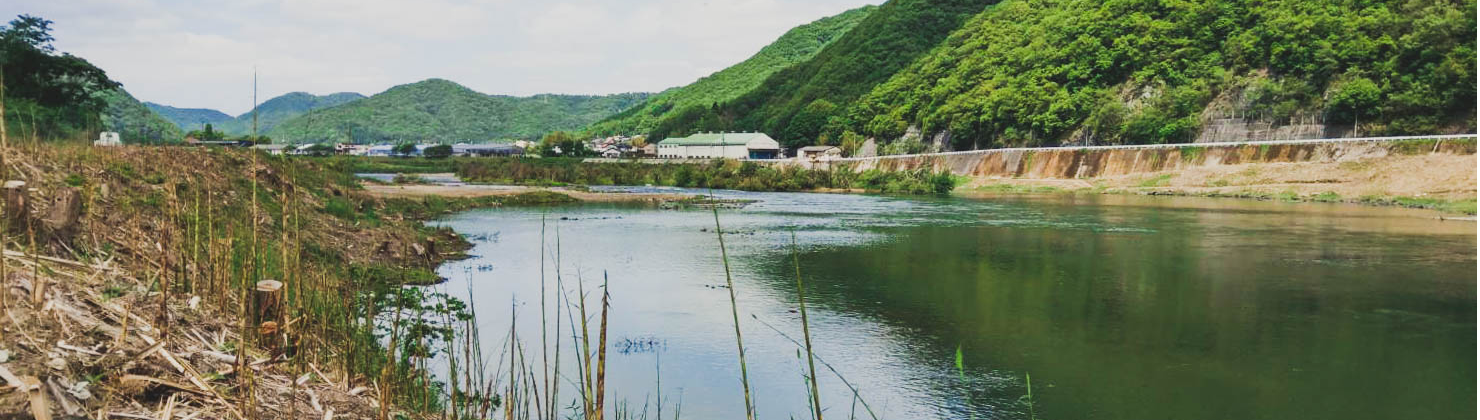 voychicaのステキなところ