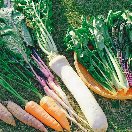 季節の満足セット A